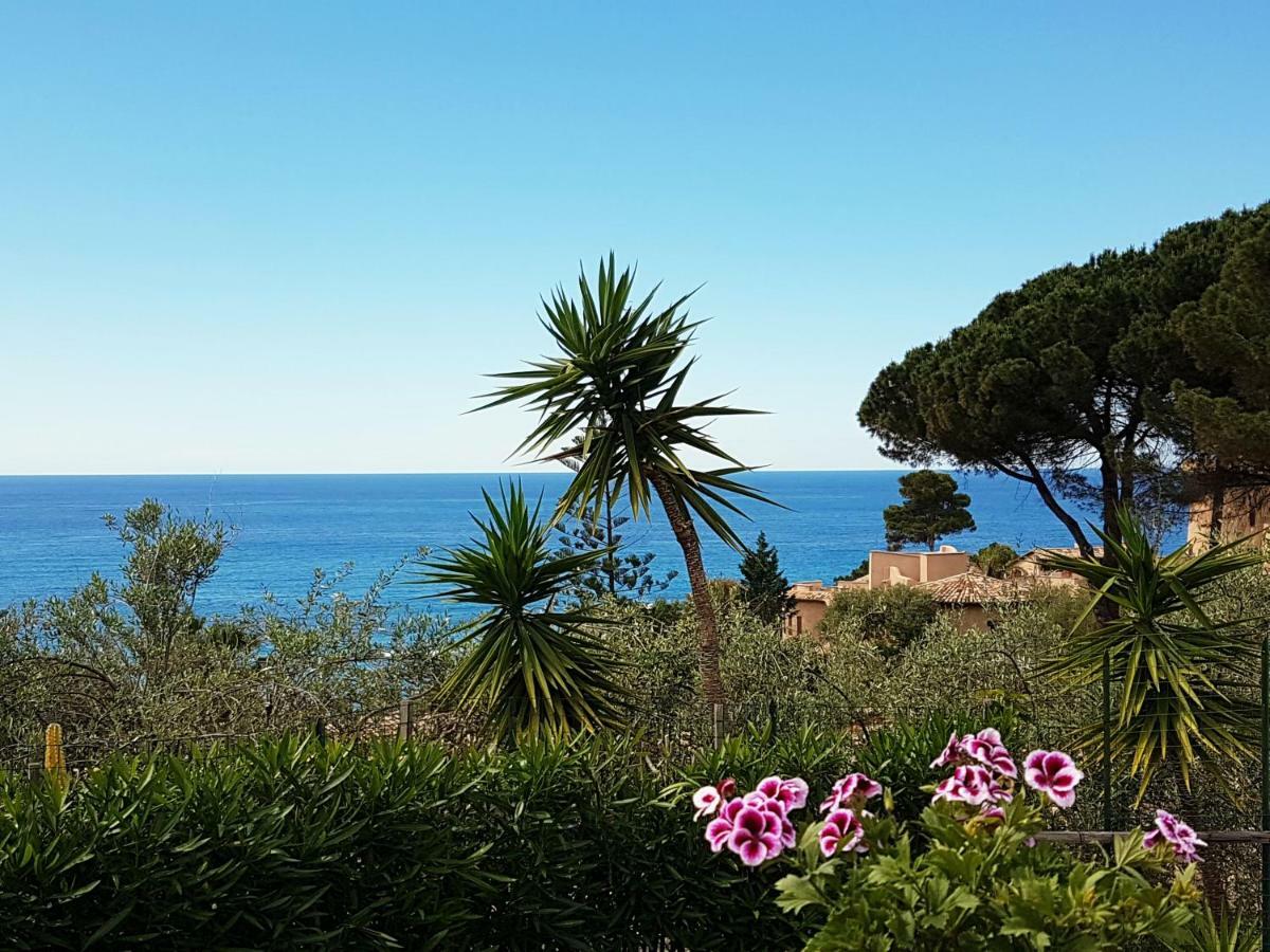 Villa Del Sogno 帕尔盖利亚 外观 照片